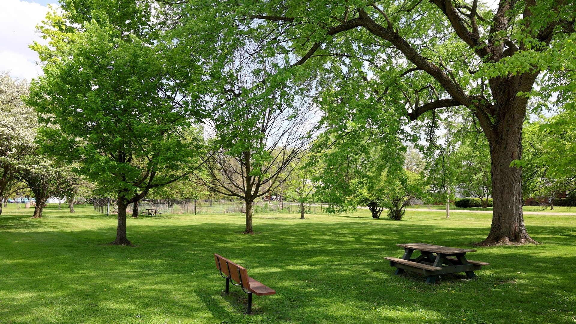 Bill Duncan Park
