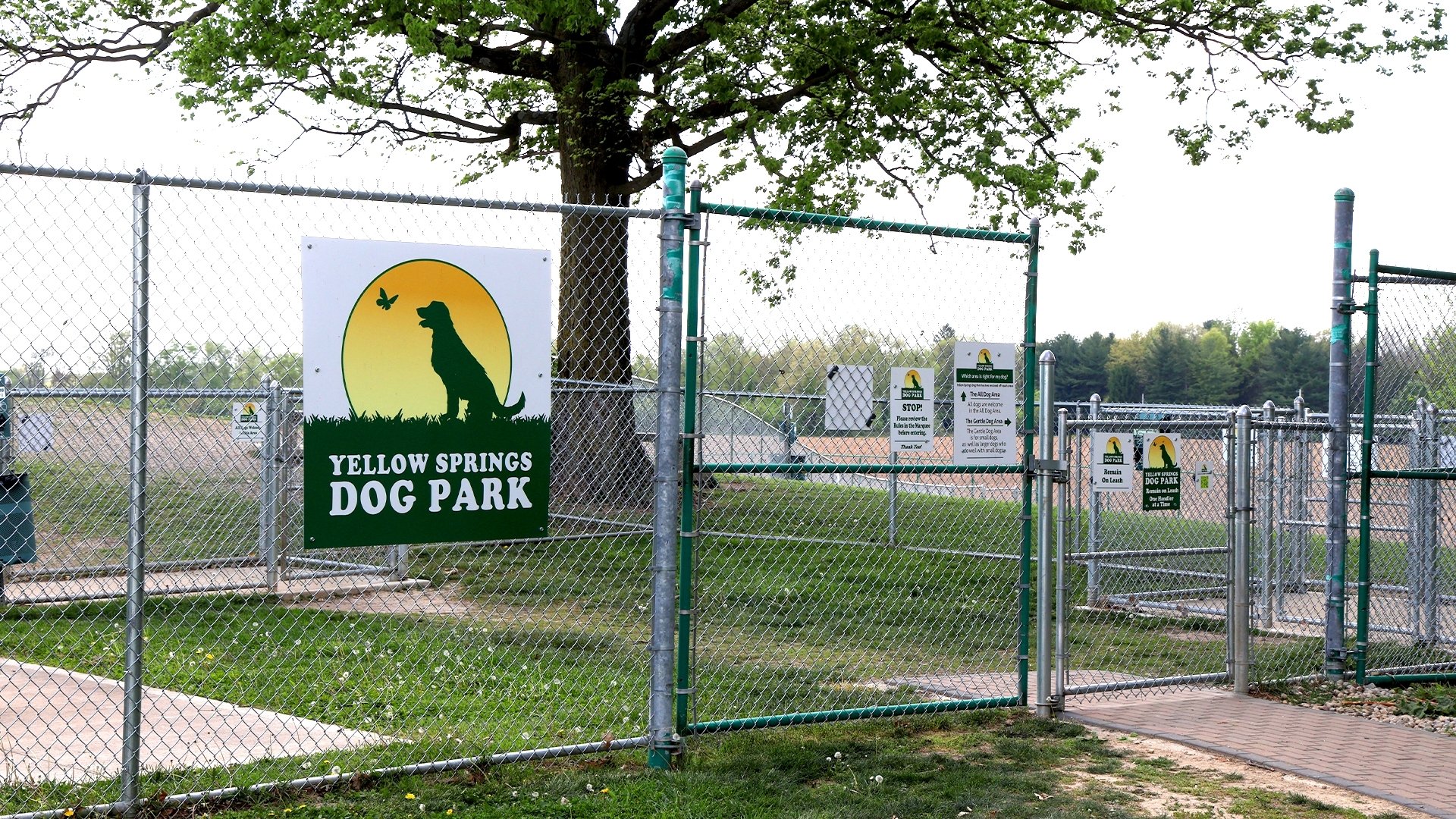 YS Dog Park