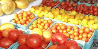 Fresh Produce at the Village Farmers Market