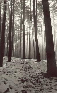 Winter in the Glen