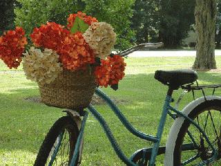 Fall bicycle