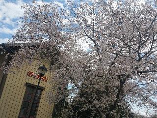 Spring Train Station