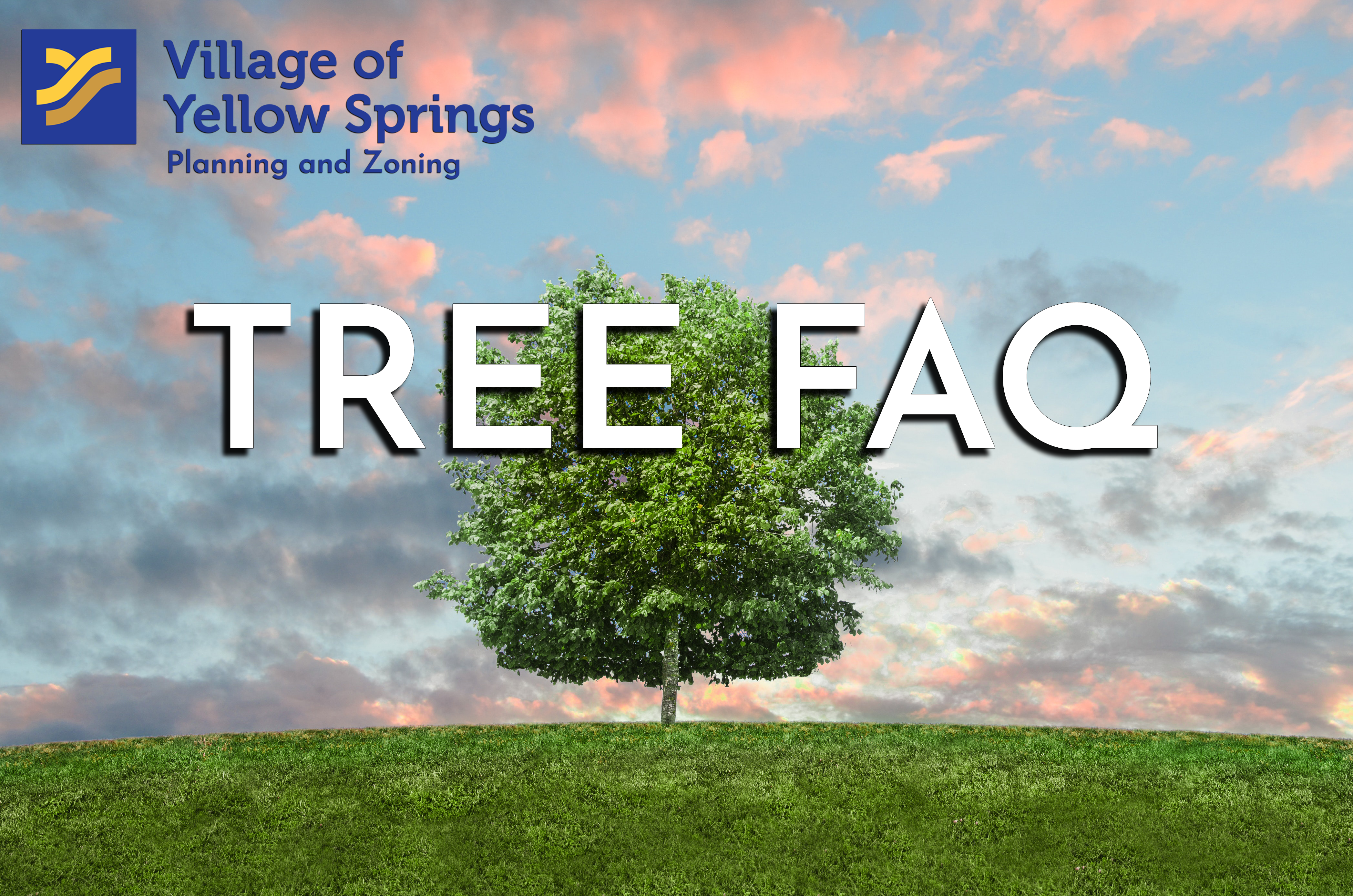 Tree FAQ